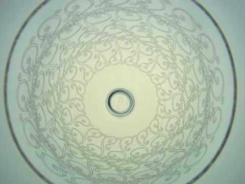 2000年頃のバカラのローハンの唐草模様を接写